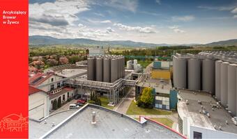 Zwolnienia w Heinekenie. Czy należąca do Holendrów Grupa Żywiec uniknie cięć kosztów?