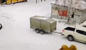 Syberia. Tragiczny wypadek z udziałem... wielbłąda
