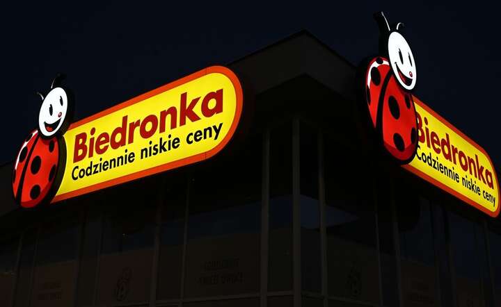 Biedronka / autor: fot. Fratria