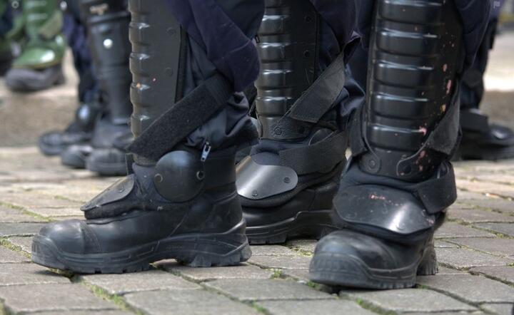 Policja  / autor: Pixabay