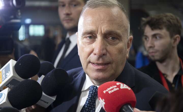 Grzegorz Schetyna, senator KO wraca do obietnic wyborczych z 2023 roku / autor: Fratria