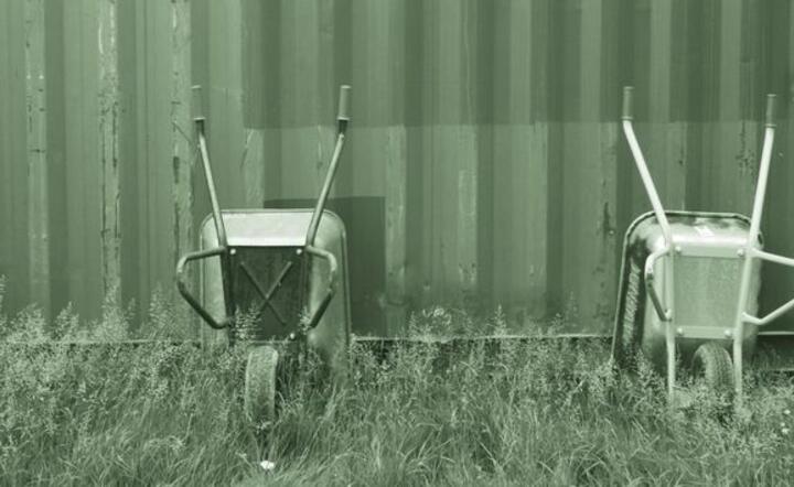 www.sxc.hu