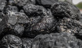 Zakażą palenia węglem złej jakości? Ekolodzy wniebowzięci