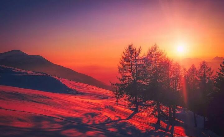 fot. Pixabay / autor: fot. Pixabay