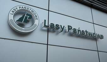 Lasy Państwowe – przygrywka do prywatyzacji?