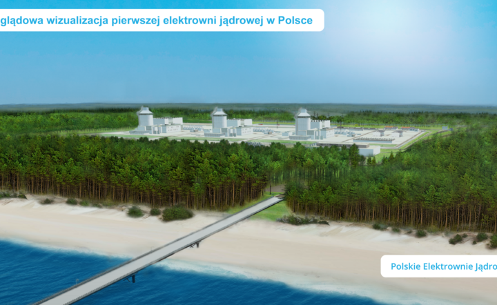 Polska elektrownia atomowa coraz bliżej / autor: Materiał ilustracyjny