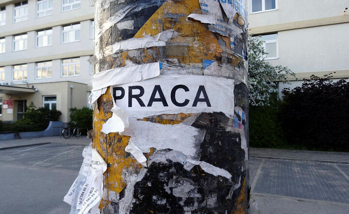 Ogłoszenie o pracę / autor: Fratria