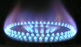 Gaz z USA jest o ponad 20 proc. tańszy od rosyjskiego