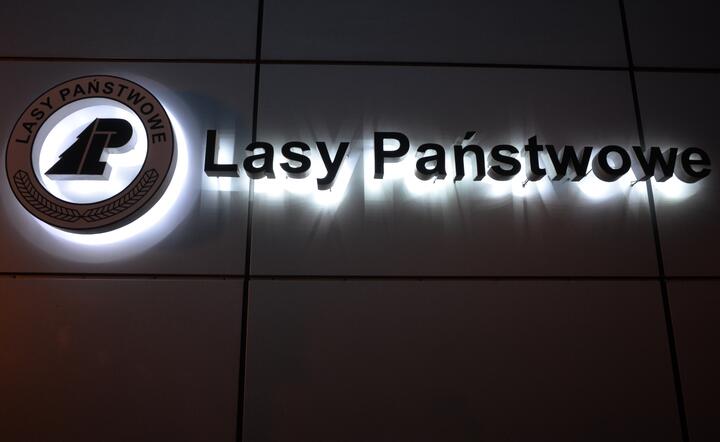 O zmianach w Lasach Państwowych decyduje osobiście premier Donald Tusk / autor: Fratria / KK