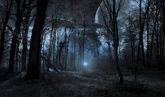 Uczeni zbadają UFO! "To wymaga odwagi"