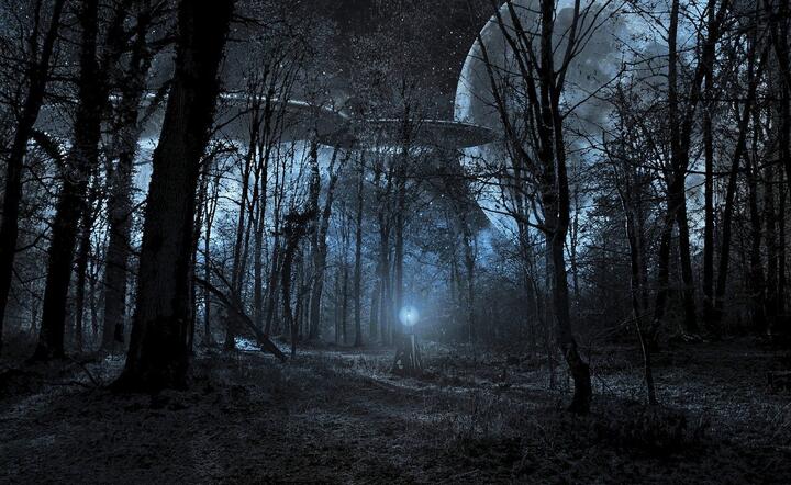 UFO / autor: fot. Pixabay/tombud