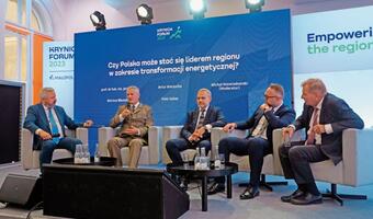 Ochrona klimatu wymaga realistycznej strategii