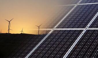 Rekordowe zainteresowanie Funduszem Naturalnej Energii