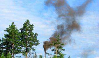 Polska sprzedała uprawnienia do emisji CO2 po 62,96 euro