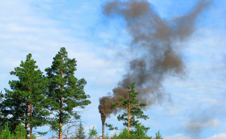 Polska sprzedała uprawnienia do emisji CO2 po 62,96 euro