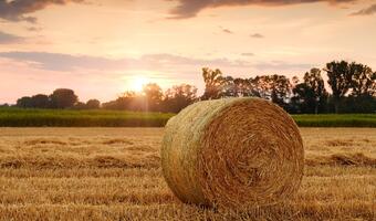 KE zatwierdziła: 330 mln euro dla rolników