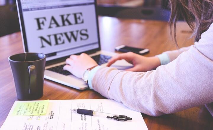 Fake News / autor: Pixabay