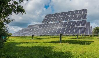 EPP: 35 proc. energii z OZE w centrach handlowych