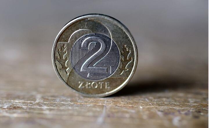 Pieniądze / autor: Fratria