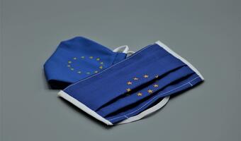 "Rok krótkowzroczności" UE