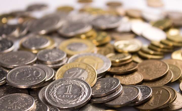 Złoty pozostawał jedną z mocniejszych walut regionu mimo okresowych zawirowań / autor: Fratria / ZK