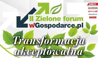 Transformacja akceptowalna, czyli kto zapłaci za zieloną gospodarkę