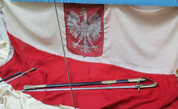 Polska też mogła mieć swoich kamikadze!