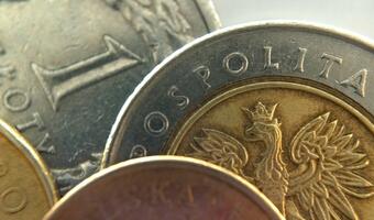 Ekspert: złoty w ciągu kilku miesięcy może się lekko umocnić, ale do poziomów sprzed roku nie wróci