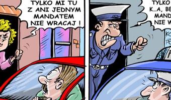 „Zielona wyspa” rozkwita jesienią