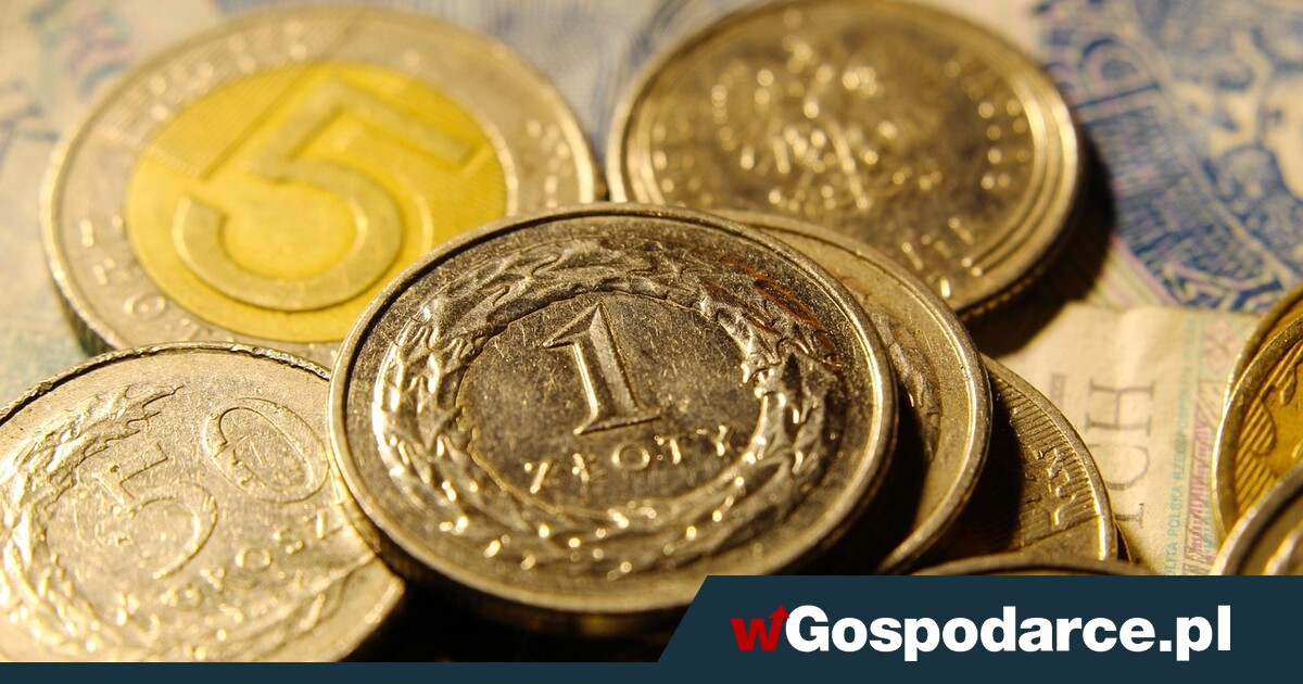 Złoty siedzi okrakiem