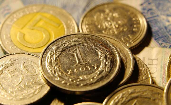 Złoty reaguje spokojnie na decyzję RPP o obniżce stóp i płynącą z jej wnętrza narrację / autor: Pixabay