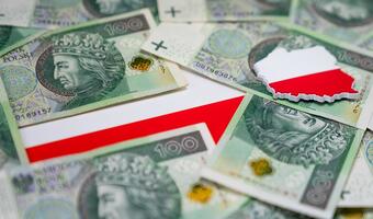 Czy Komitet Stabilności Finansowej będzie niestabilny?