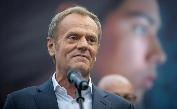 Tusk / autor: Fratria