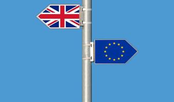 Rząd w Londynie: Twardy brexit to katastrofa