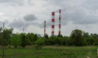 Ekolodzy gwiżdzą. KE aportuje