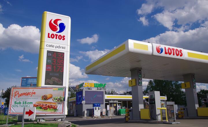 Lotos / autor: Fratria