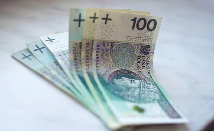 banknoty NBP / autor: Pixabay