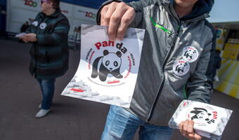 Włoski strajk „Solidarności” branży handlowej w całej Polsce