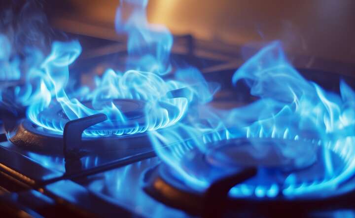 Bezpieczeństwo energetyczne jest bezcenne. / autor: Pixabay