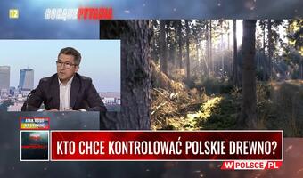 Certyfikaty na drewno to nowy problem rynku?