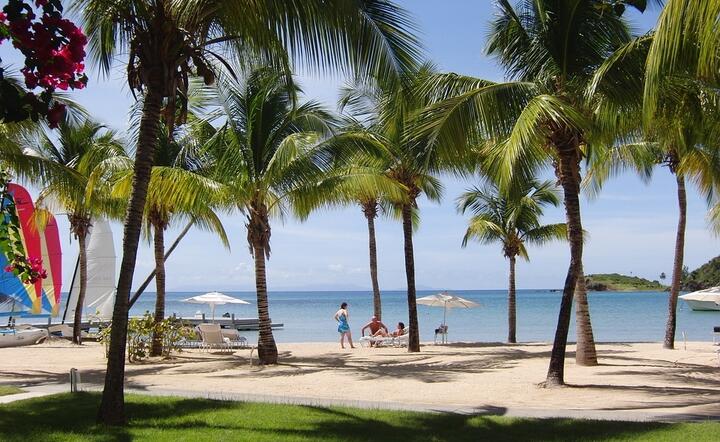 Karaibska plaża na wyspie Antigua  / autor: Pixabay