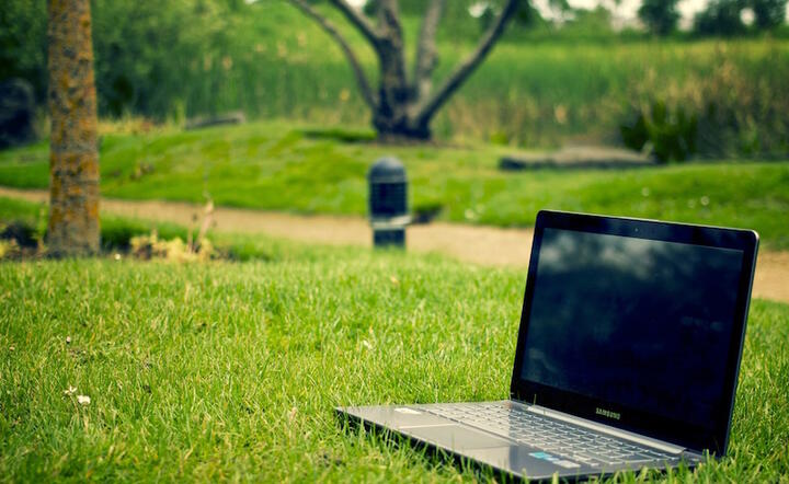 fot. Pexels.com