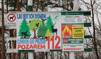 Lasy pod specjalnym nadzorem