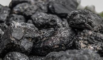 Polska energetyka w 2030 r. będzie w 60 proc. oparta na węglu