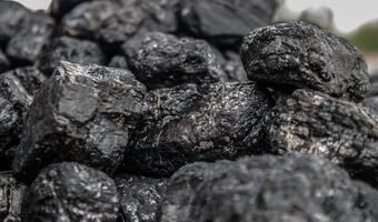 Będzie kontrola jakości węgla i innych paliw. To pomysł na walkę za smogiem
