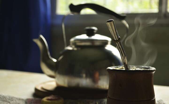 Yerba mate  / autor: Pixabay