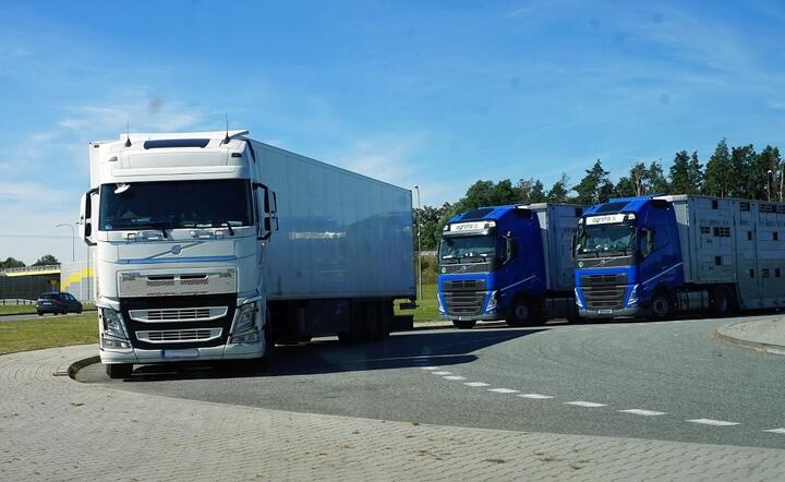 Polskie firmy transportowe od 8 maja nie muszą mieć specjalnych zezwoleń przy wjeździe na Ukrainę / autor: Fratria/MK