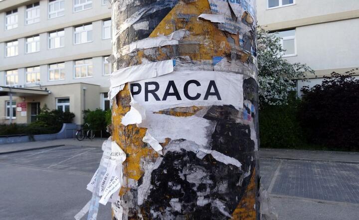 zdjęcie ilustracyjne / autor: Fratria