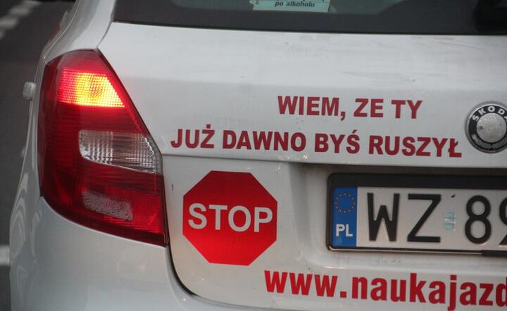 autor: fot. Michał Karnowski / Fratria