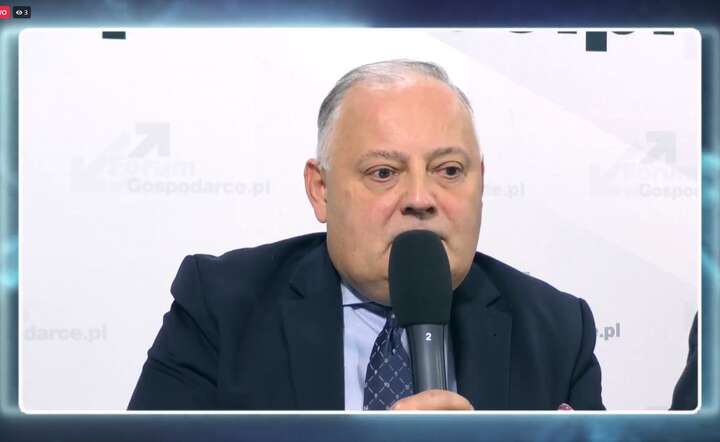 Wojciech Dąbrowski - były prezes PGE / autor: fot. Fratria